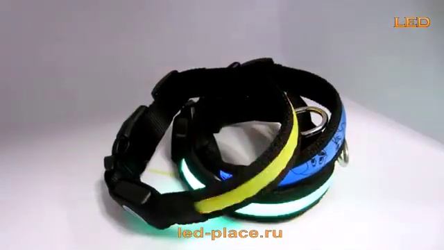 LED ошейник для собак смотреть онлайн
