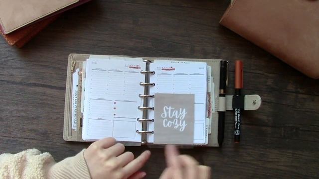 VDS - Poussiere 25mm Junior Rings - Pocket Plus November Setup | LittleRachPlans смотреть онлайн