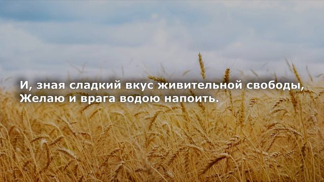 Стань утренней звездой... (Сл. К.Курганской) смотреть онлайн