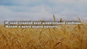 Стань утренней звездой... (Сл. К.Курганской)