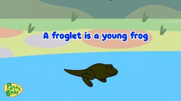 Life Cycle of a Frog | Science for Kids | Educational Video | #PantsBear