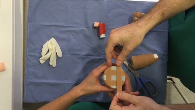 Vet Ideas - 5 minutes Homemade Inhalation Chamber for Cat смотреть онлайн