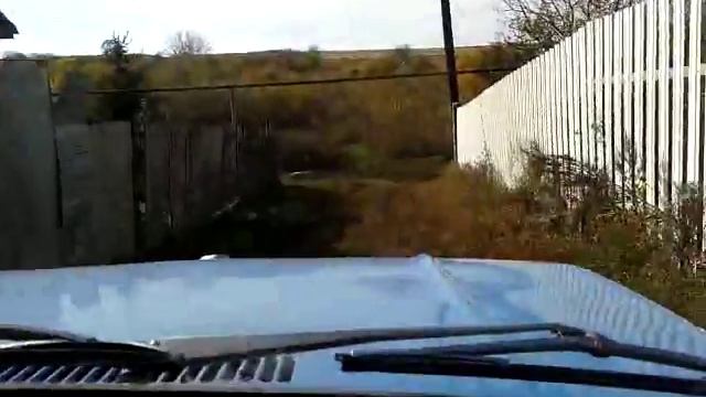 ушастый с музыкой смотреть онлайн