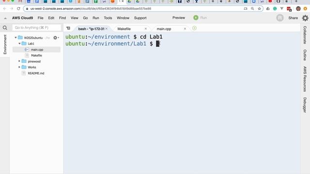 Using Command Line Arguments смотреть онлайн