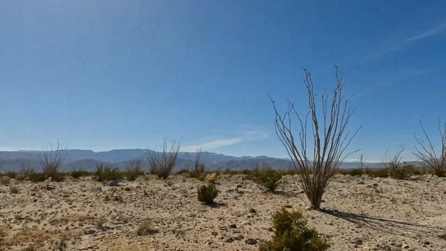 Exploring Anza-Borrego for First time in our F150 Tremor смотреть онлайн