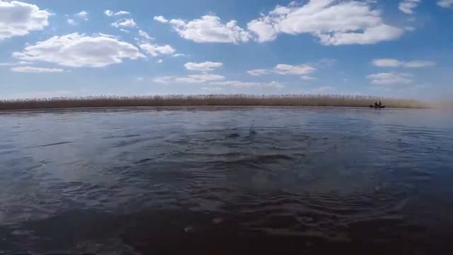 Рыбалка в Астрахани.Вобла и Жерех.Весенний клев. смотреть онлайн