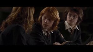 Гермиона,ты девчонка?(Гарри Поттер и кубок огня)