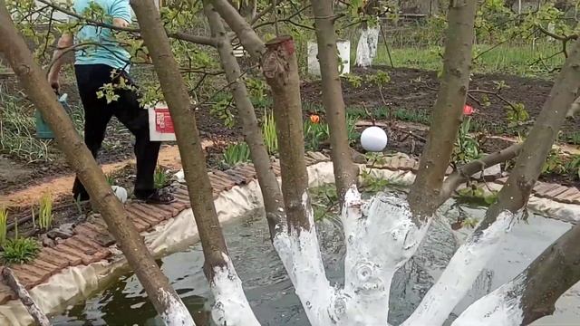 Озёрный ил,как удобрение самое лучшее.Не сравниться ,ни коровьем,ни с птичьим перегноем. смотреть онлайн
