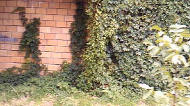 DSCF0016.AVIЖелезноводск Пятигорск 2022