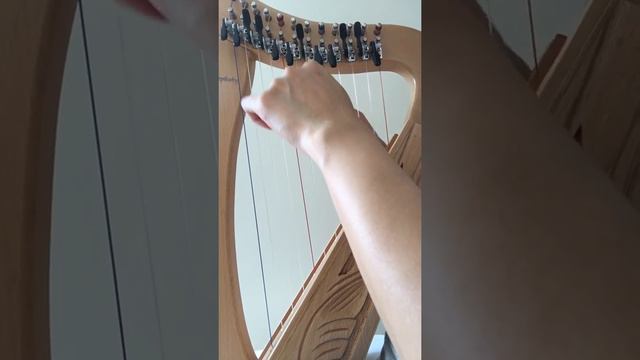 Yesterday, The Beatles, 12 strings baby harp, 12弦豎琴 披頭四, Harp Solo смотреть онлайн