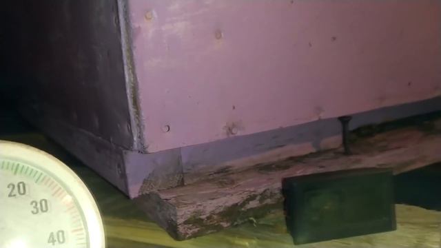 ТЕСТ БАКФАСТА, ЗИМОВКА В МАРТЕ, ПОЕДАНИЕ КОРМА, ДИКИЙ КОТ МУРЗИК смотреть онлайн