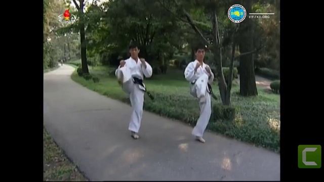 Таэквондо ITF. Апча Бусиги, Горо Чаги. смотреть онлайн