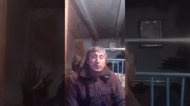 две мои песни на стихи Владимира Высоцкого смотреть онлайн