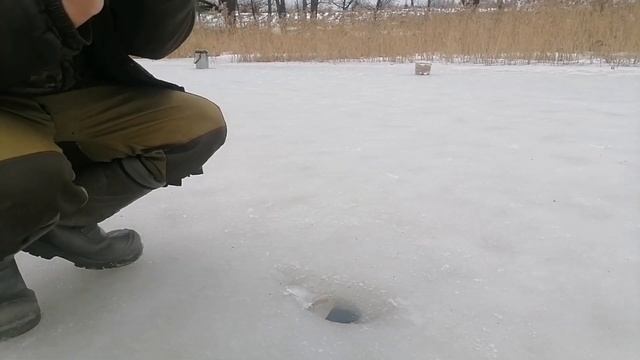 Целую зиму не клевала А к весне проснулась, Рыбалка в Марте смотреть онлайн