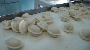 оборудование для пельменного цеха