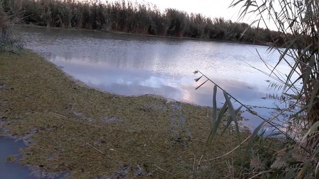 Рыбалка видео с утонувшего телефона ч1 смотреть онлайн