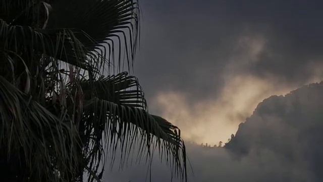 Enigma silent warrior смотреть онлайн