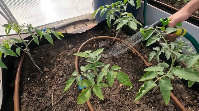 Аккумуляторный насос для полива из бочки Greenworks G24SWP обзор и полив смотреть онлайн