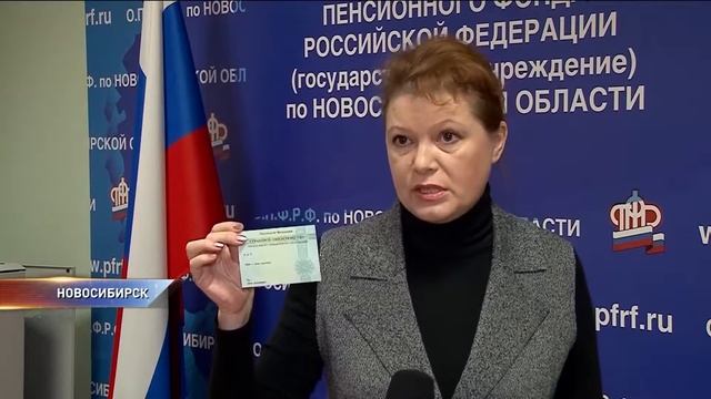 Какими будут новые СНИЛС в Новосибирске смотреть онлайн