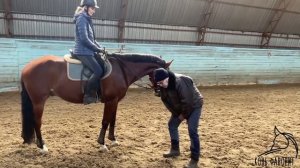 Как ехать строевой рысью без стремян