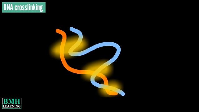 In situ Hi-C | Hi-C Method | In situ Hi-C Chromosome Conformation technique | смотреть онлайн