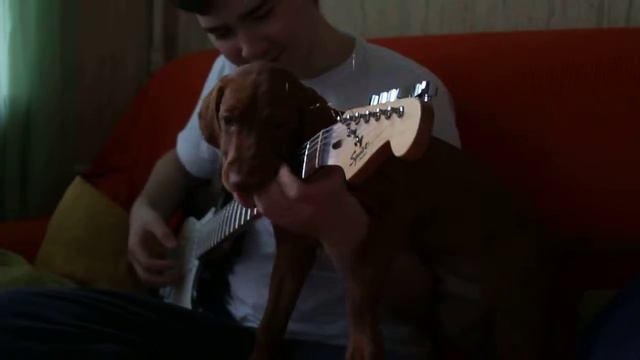 MVI 9260 смотреть онлайн