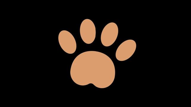 Лед на ветках деревьев.