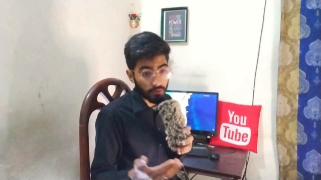 lexis audio editor tutorial in Urdu/Hindi | Best audio editor | Tech bajar смотреть онлайн