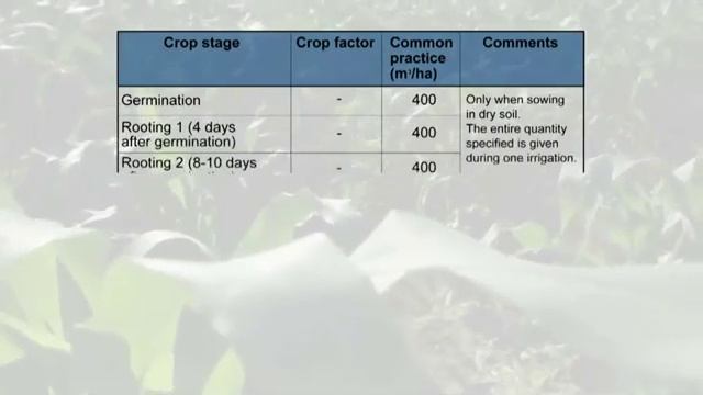 Капельный полив кукурузы смотреть онлайн