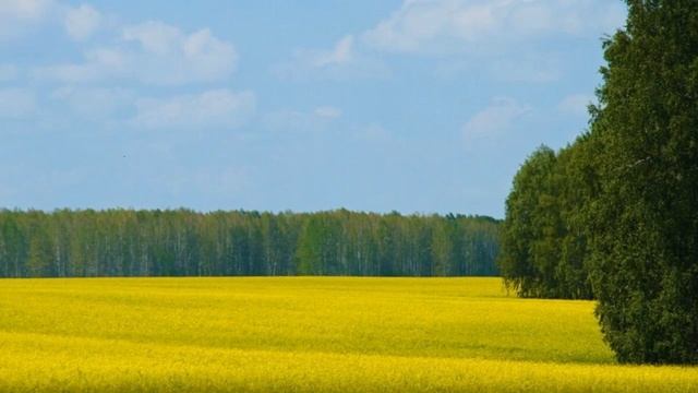 Клячкин Евгений - ГАДАНИЕ смотреть онлайн