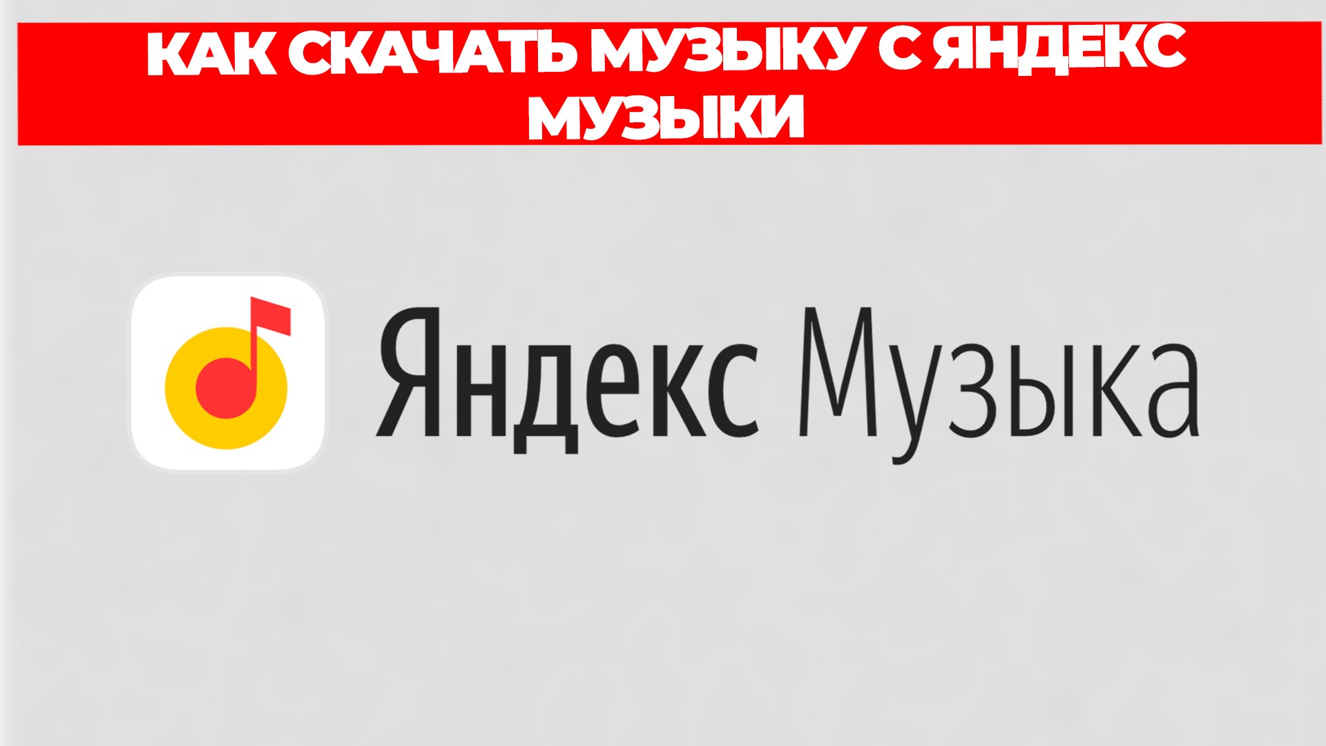 Всезнающий Енот