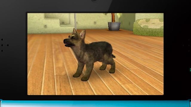 Nintendogs + Cats - PBG смотреть онлайн