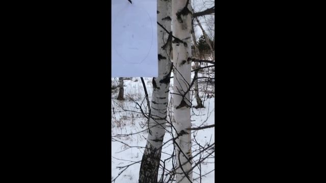 Стреляю из охолощенного пистолета Retay газовыми патронами 9 mm смотреть онлайн