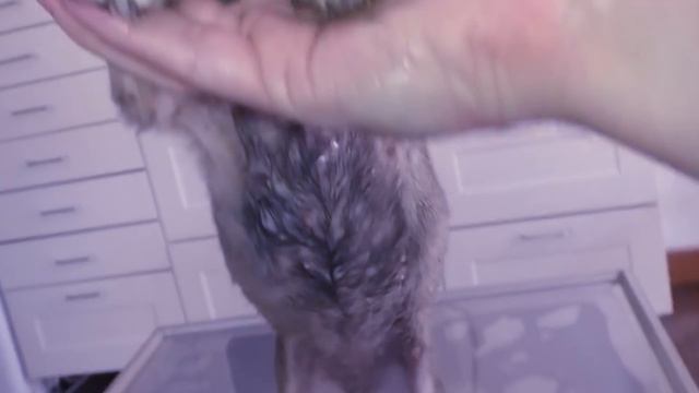 Kevin M. Danner !! Found A Happy Puppy, Starring Mango Worms And Fatou And Make Puppy Happy #3