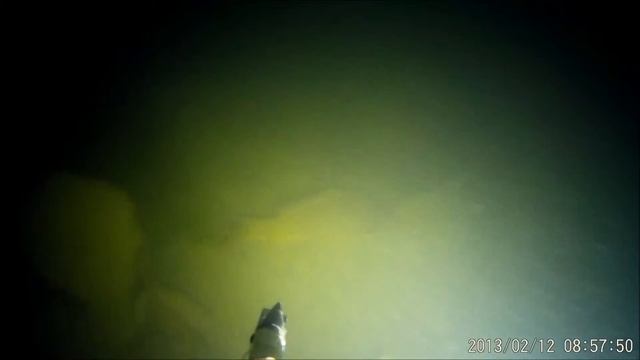 Все самое интересное из мира подводной охоты. Мы собираем, публикуем все самое новое. смотреть онлайн