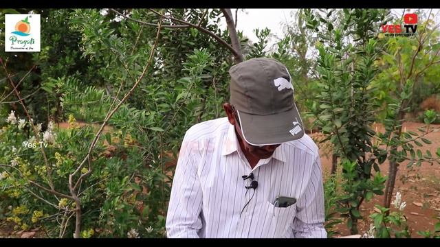 ఔషధ మొక్కల గురించి వివరిస్తున్న మొక్కల రామా రావు గారు,Medicinal Plants,Pragati Resorts, YES TV смотреть онлайн