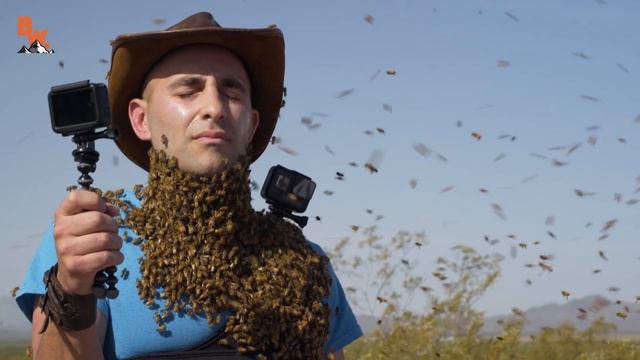 Bee Beard GONE WRONG! смотреть онлайн