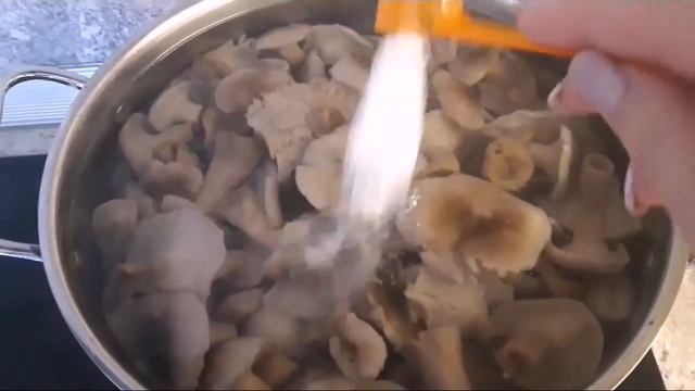 Вкусные рецепты с грибами