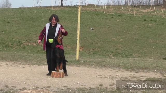 Елена Горунович и Гоша 20.04.19 смотреть онлайн