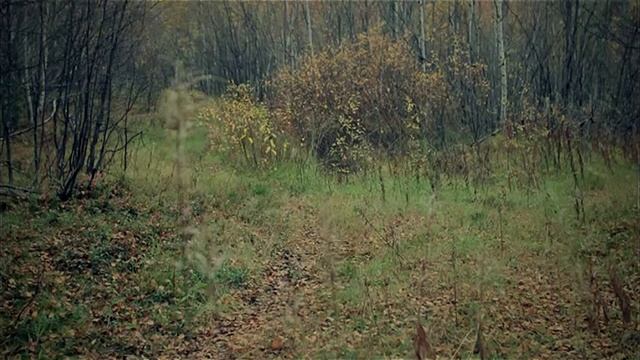 Мотопёс ЧИНУК смотреть онлайн