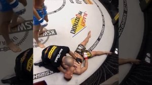 Абус Магомедов (24-4) vs Сезари Кесик (12-1) ksw 57 Abus Magomedov