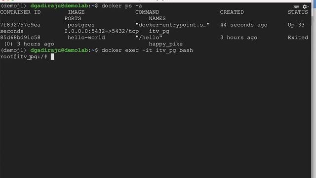 Setup Postgres Database - Accessing Postgres using Docker CLI смотреть онлайн