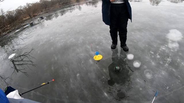 4К рыбалка! Балансир жерлицы по первому льду 2019! Зимняя рыбалка в Московской области! смотреть онлайн