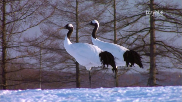 2 сезон 1 серия смотреть онлайн