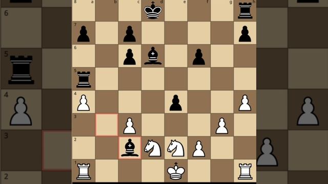 Игра против эксперта ?
