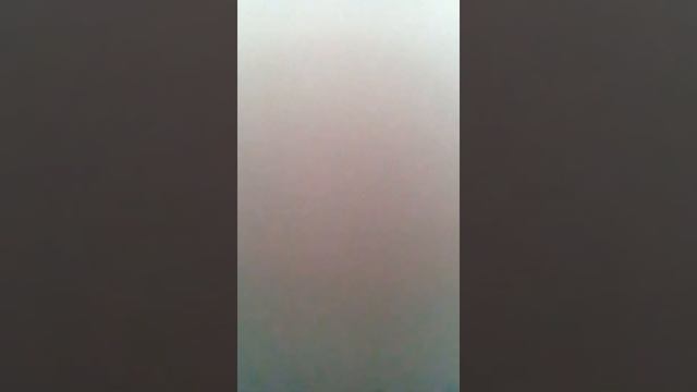 Сумка виде кошки смотреть онлайн