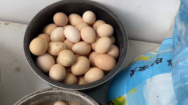 男朋友带小何回老家，这农村的美景相当不错，摘了好多绿色酸菜！ смотреть онлайн