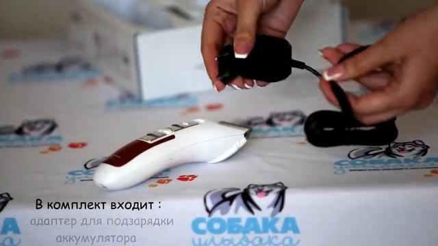 Codos CP-9580 машинка для стрижки шерсти животных (собак, кошек, кроликов) смотреть онлайн