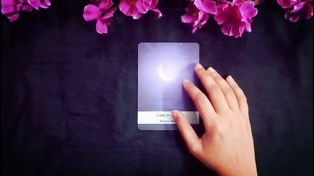 PICK A CARD ?? - || WHAT'S NEXT IN YOUR LOVE LIFE || {TIMELESS} Tarot reading смотреть онлайн