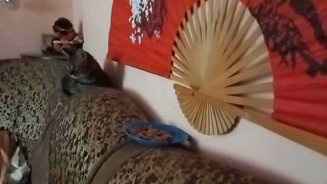 Запорожье. 18.08.23. В городе громко ! Мама приехала . Мышка- малышка трусиха . смотреть онлайн